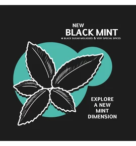 hookah Squeeze - Black Mint- 25g